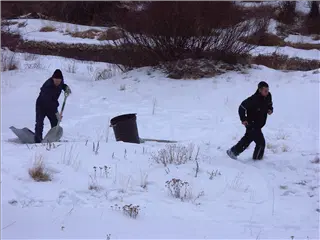 small_031229 coPICT0599.webp